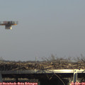 14_50-mast.jpg