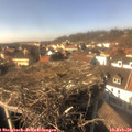 14_50-nest.jpg