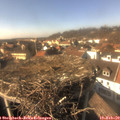 14_55-nest.jpg