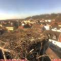 15_00-nest.jpg