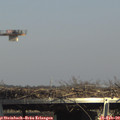 15_05-mast.jpg