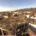 15_05-nest.jpg