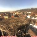 15_10-nest.jpg
