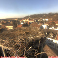 15_15-nest.jpg