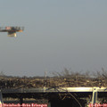 15_25-mast.jpg