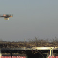 15_40-mast.jpg