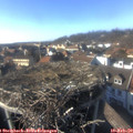 15_45-nest.jpg