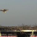 15_50-mast.jpg