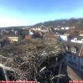 15_50-nest.jpg
