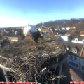 15_55-nest.jpg