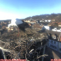 16_00-nest.jpg