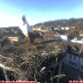 16_10-nest.jpg