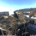 16_15-nest.jpg