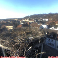 16_20-nest.jpg