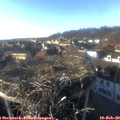 16_25-nest.jpg