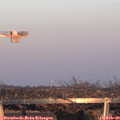 17_20-mast.jpg