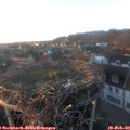 17_20-nest.jpg