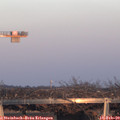 17_25-mast.jpg