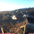 07_40-nest.jpg