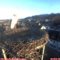 07_45-nest.jpg