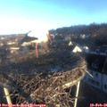 07_50-nest.jpg