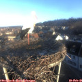 07_55-nest.jpg