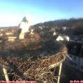 08_00-nest.jpg