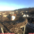 08_10-nest.jpg