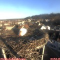 08_15-nest.jpg