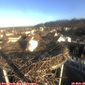 08_20-nest.jpg