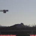 08_25-mast.jpg