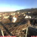 08_25-nest.jpg