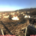 08_35-nest.jpg