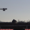 08_40-mast.jpg