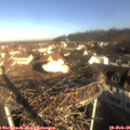 08_40-nest.jpg