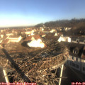 08_45-nest.jpg