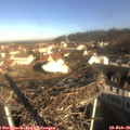 08_50-nest.jpg