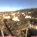 09_15-nest.jpg