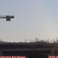 09_50-mast.jpg