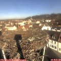 10_00-nest.jpg