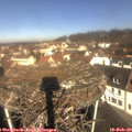 10_25-nest.jpg