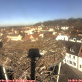 10_35-nest.jpg