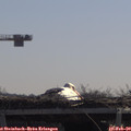 11_00-mast.jpg