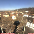 11_00-nest.jpg