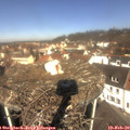 11_05-nest.jpg
