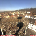 11_20-nest.jpg