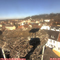11_25-nest.jpg