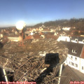 11_35-nest.jpg