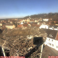 11_45-nest.jpg
