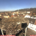 11_50-nest.jpg